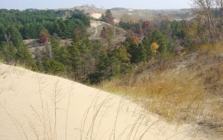 Sand Dune